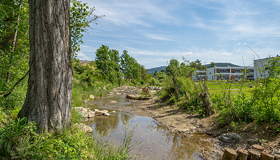 Bundeswasserbauverwaltung  © Foto Fischer