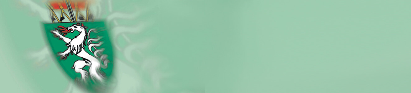 Public Ramon Steiermark